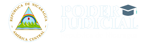Aula Virtual IAEJ